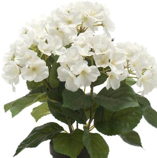Tips & tricks - Kunstbloemen of echte bloemen welke kies jij in huis
