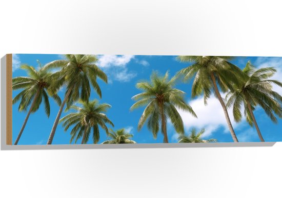 Hout - Bomen - Palmbomen - Tropisch - Wolken - Kleuren - 90x30 cm - 9 mm dik - Foto op Hout (Met Ophangsysteem)