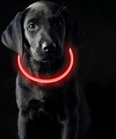 Led-lichthalsband, hondenhalsband, oplaadbaar, waterdichte halsband voor honden, 3 modi, in lengte verstelbaar, superhelder, voor katten en honden, klein, groot, medium, rood