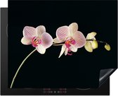 KitchenYeah inductie beschermer 65x52 cm - Bloemen orchidee - Kookplaataccessoires roze - Afdekplaat voor kookplaat - Anti slip mat - Keuken decoratie inductieplaat - Inductiebeschermer accessoires - Inductiemat - Beschermmat voor fornuis