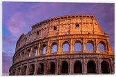 PVC Schuimplaat - Colosseum - Rome - Stad - Gebouw - 60x40 cm Foto op PVC Schuimplaat (Met Ophangsysteem)