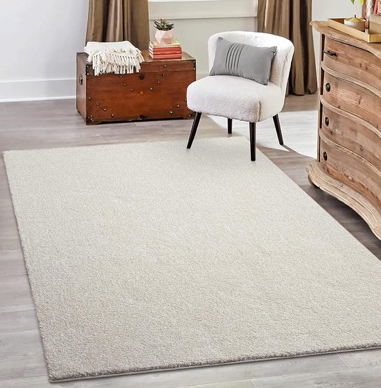 the carpet Grande Modern Pluizig Kortpolig Woonkamerkleed, Superzacht aanvoelend, Elegant en Onderhoudsvriendelijk, 120x170