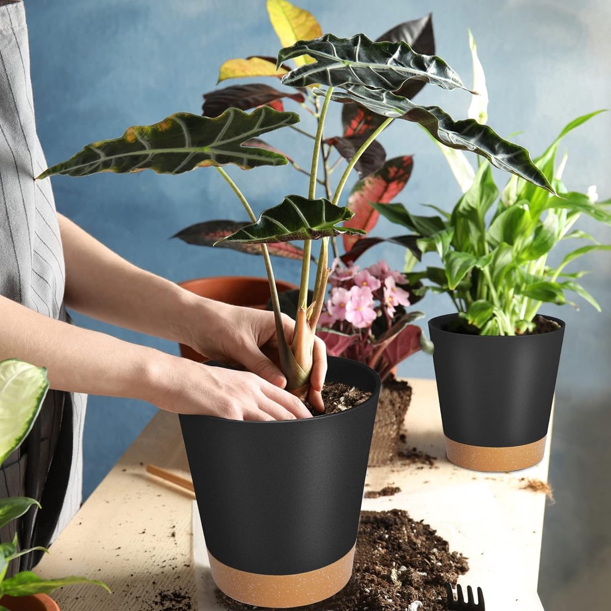 ITClosud Set van 6 bloempotten 12,6 cm, bloempot met irrigatiesysteem, plantenbak met onderzetter en drainagegaten, voor binnentuinen en balkons (wit, 12,6 cm
