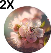 BWK Flexibele Ronde Placemat - Roze Kersen Bloesem in de Lente - Set van 2 Placemats - 40x40 cm - PVC Doek - Afneembaar