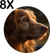 BWK Luxe Ronde Placemat - Bruine Hond bij het Raam - Set van 8 Placemats - 50x50 cm - 2 mm dik Vinyl - Anti Slip - Afneembaar