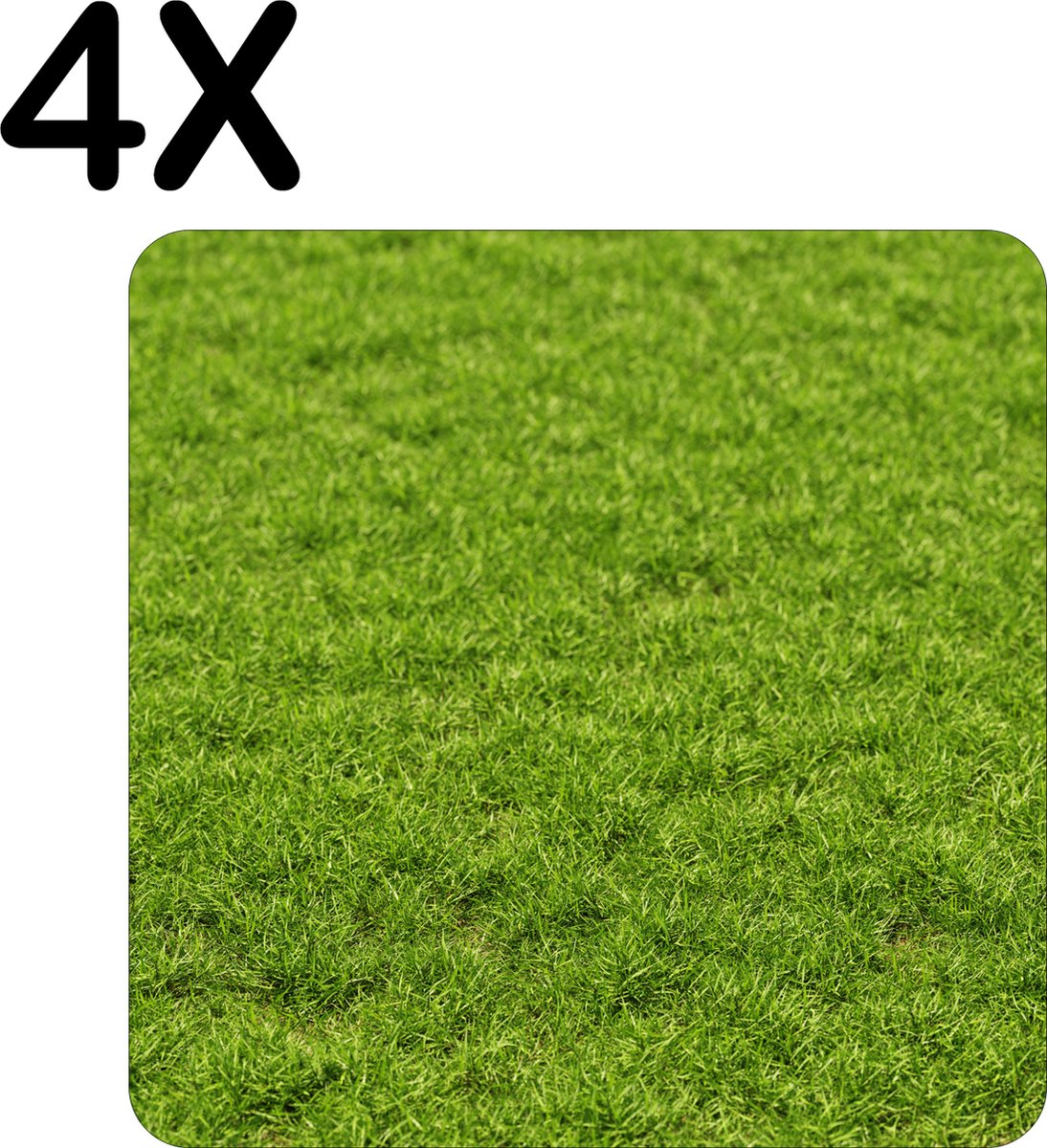 BWK Flexibele Placemat - Groen Gras - Set van 4 Placemats - 40x40 cm - PVC Doek - Afneembaar