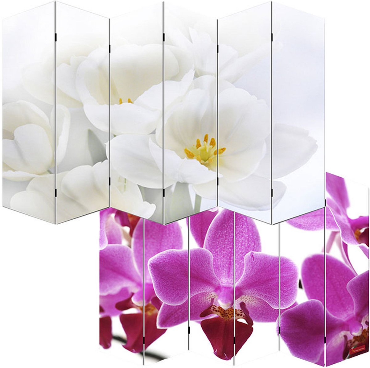 MCW Foto scherm scheidingswand M68 MVG-gecertificeerd ~ 180x240cm, orchidee