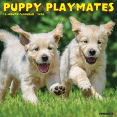 Puppy Playmates Kalender 2024