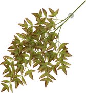 Plante suspendue Nandina 65x35x1,5cm vert