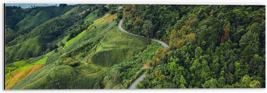 Dibond - Bergen - Weg - Bomen - 60x20 cm Foto op Aluminium (Met Ophangsysteem)