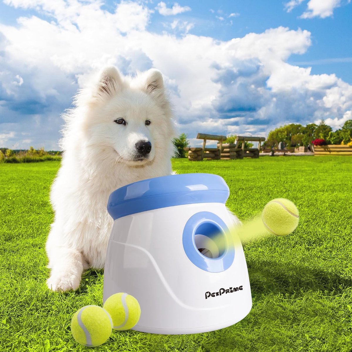 Automatische hondenbalwerper voor kleine en middelgrote honden - Interactief speelgoed voor buiten en binnen