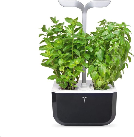 Autonome Indoor Moestuin met Klaar-Voor Gebruik Lingots - Basilicum en Krulpeterselie - Slimme Tuinoplossing voor Binnen