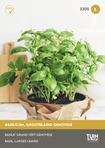 Tuin de Bruijn® zaden - Basilicum - grootbladig Genovese - Hoge opbrengst - eenvoudige teelt