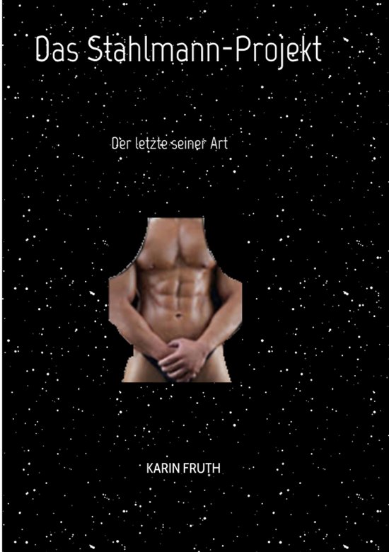 Das Stahlmann-Projekt - cover
