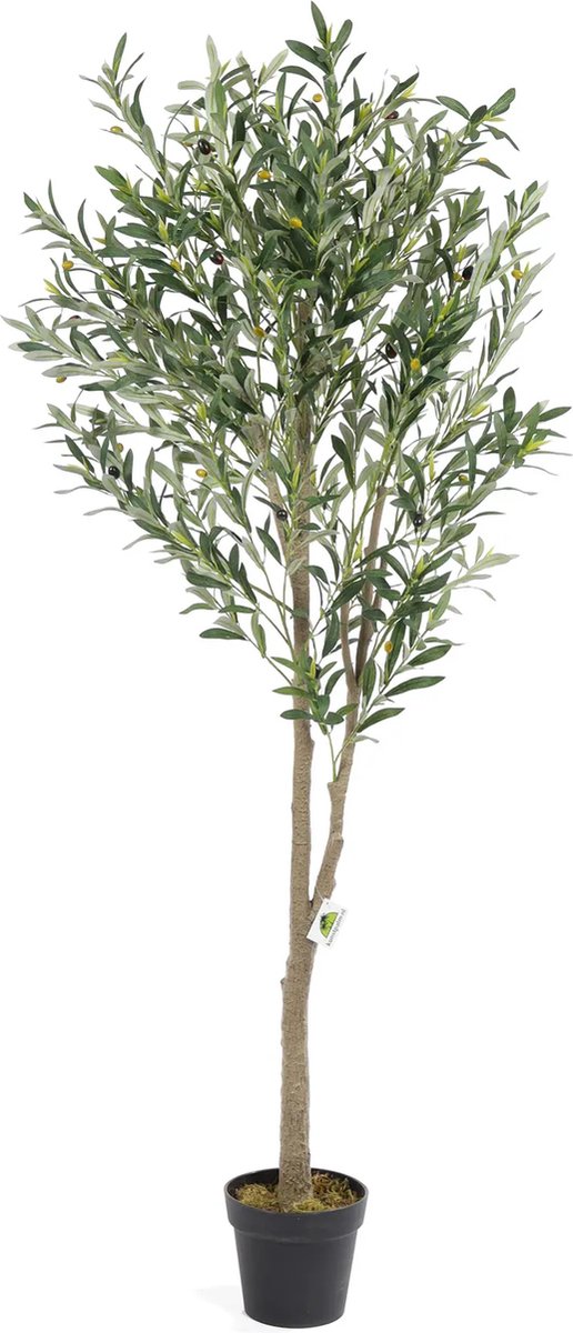 Kunstpalm Kunst Olijfboom Toscane Deluxe – 180 cm – Met Olijven – In Pot – High Density Kunst Olijfboom - Lucxe Uitvoering - real touch kunst olijfboom Donkergroen