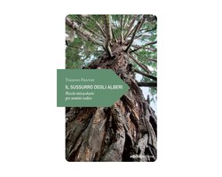 Piccola filosofia di viaggio - Il sussurro degli alberi