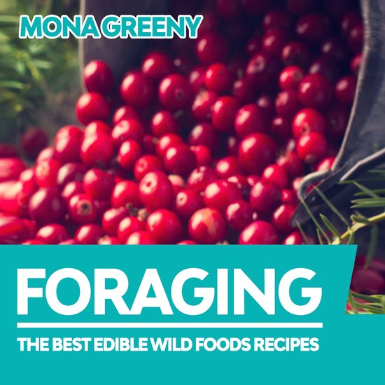 Foraging - cover