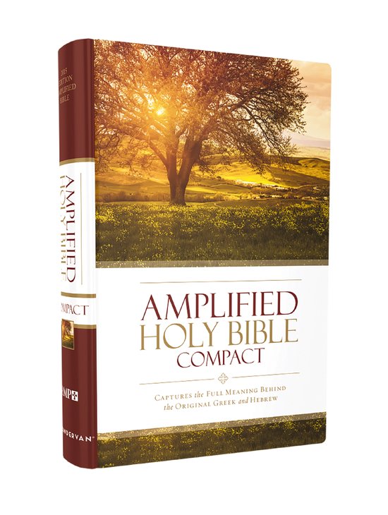 Vergulde kaft van de Amplified Holy Bible Compact met een landschap van een boom met zonlicht.