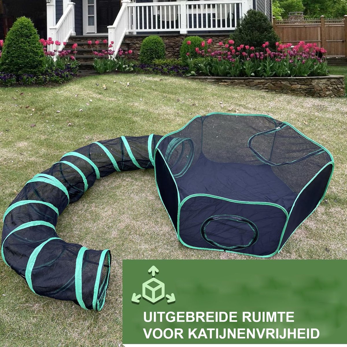 Buitenrennen voor katten, krabpalen, kattenbakken en meer