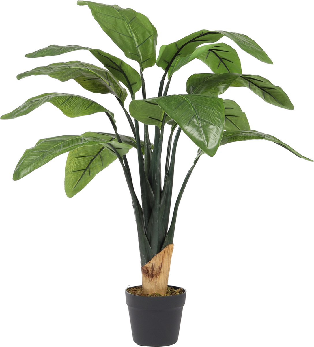 Kunstpalm Kunst Bananenplant Basjoo Klein | 100cm - Namaak bananenplant - Kunstplanten voor binnen - Bananen kunstplant Donkergroen