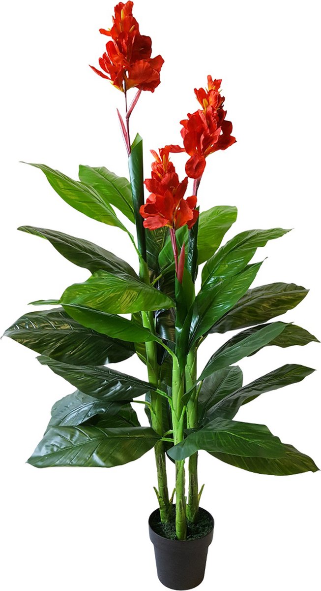 Kunstpalm Kunst Rode Canna | 165cm - Namaak canna - Kunstplanten voor binnen - Kunstplant canna Donkergroen