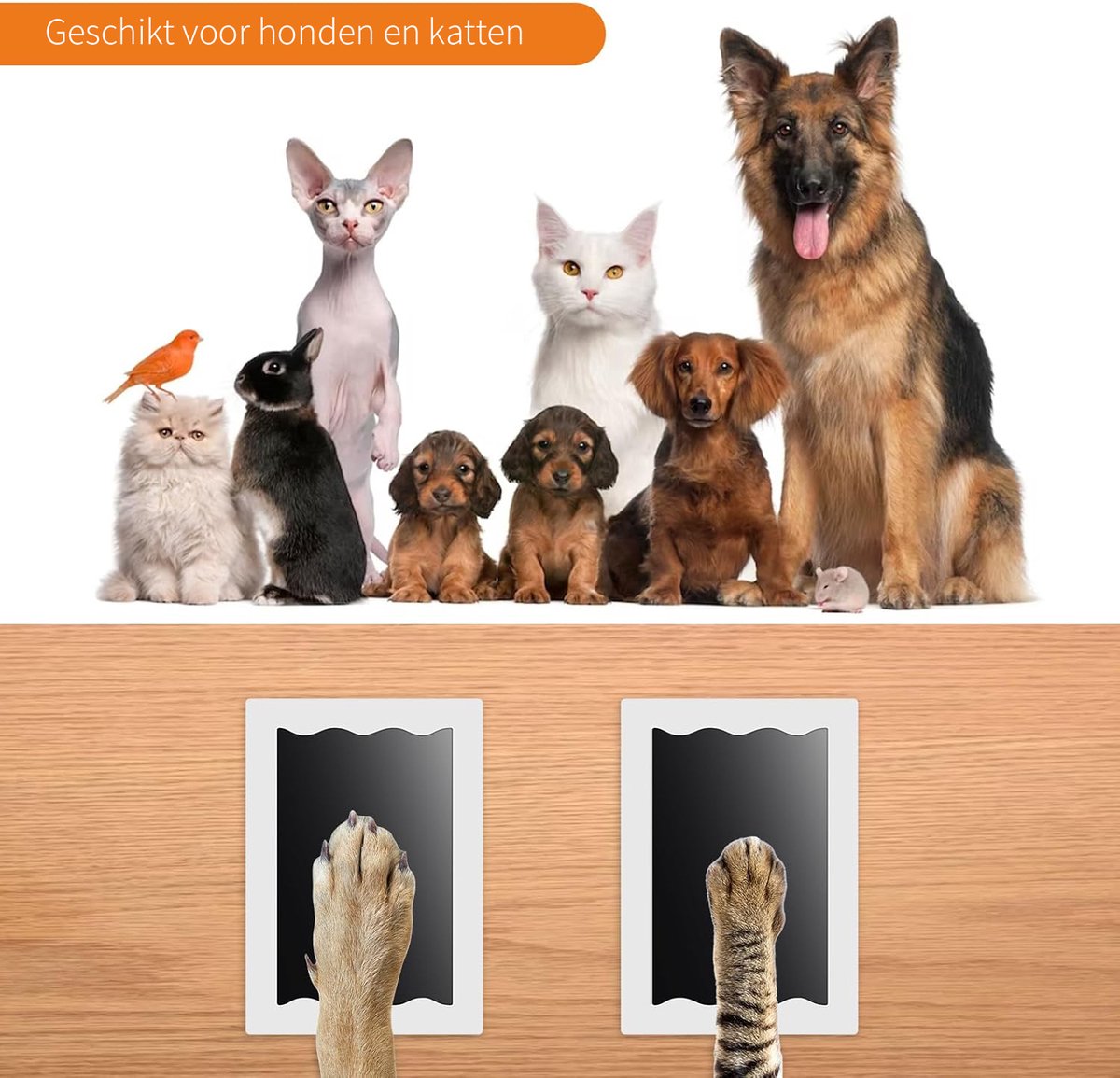 Tips voor hondenbezitters die een appartement zoeken - De Nieuwe Hond
