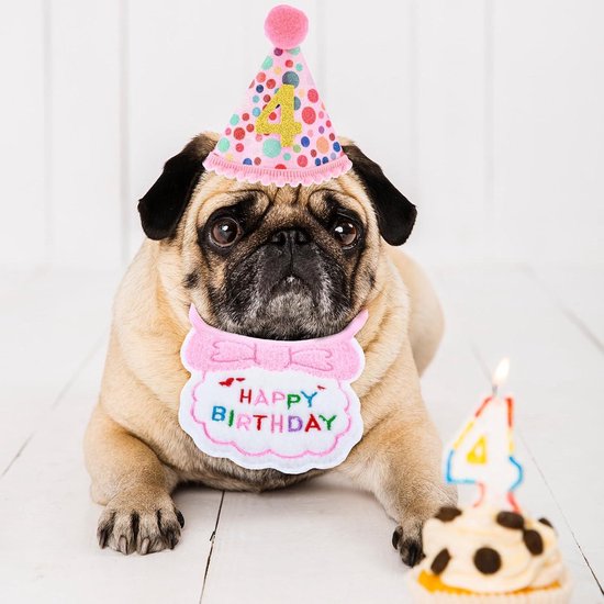 3 Feesthoeden + 3 Vlinderdassen Voor Huisdieren – Roze, Blauw, Rood – Zachte Materialen, Perfect Voor Honden, Katten – Verjaardagen, Feesten En Fotoshoots
