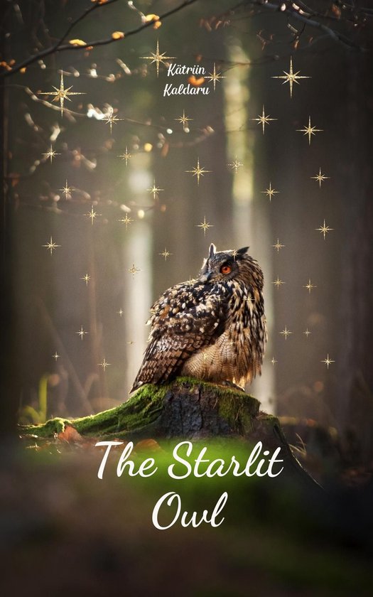 Chouette aux plumes brunes et noires assise sur une souche, avec des étoiles et le texte 'The Starlit Owl'.