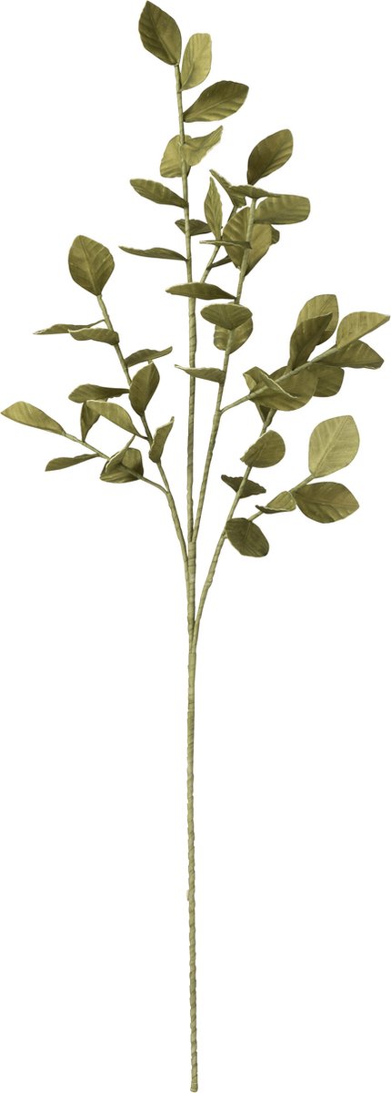 J-Line decoratie tak Bladeren Eva - kunststof - groen