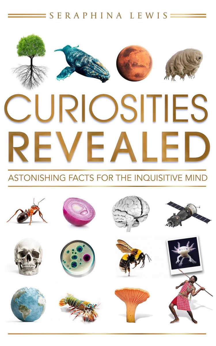 Curiosities Revealed