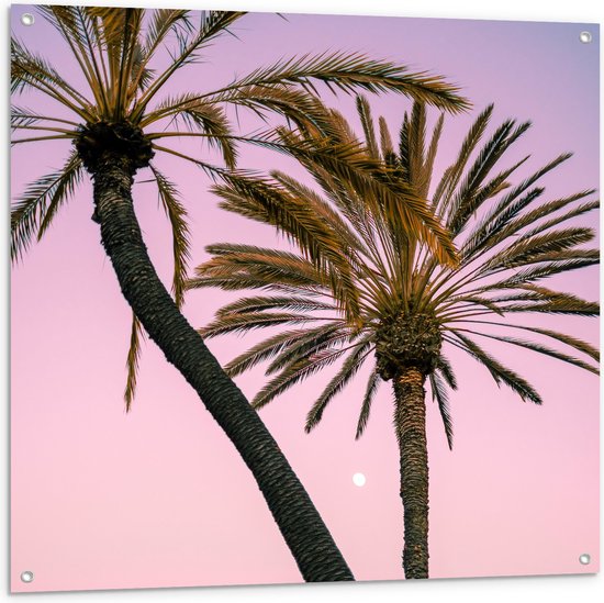 WallClassics - Tuinposter – Twee Palmbomen bij Roze-Blauwe Lucht - 100x100 cm Foto op Tuinposter  (wanddecoratie voor buiten en binnen)