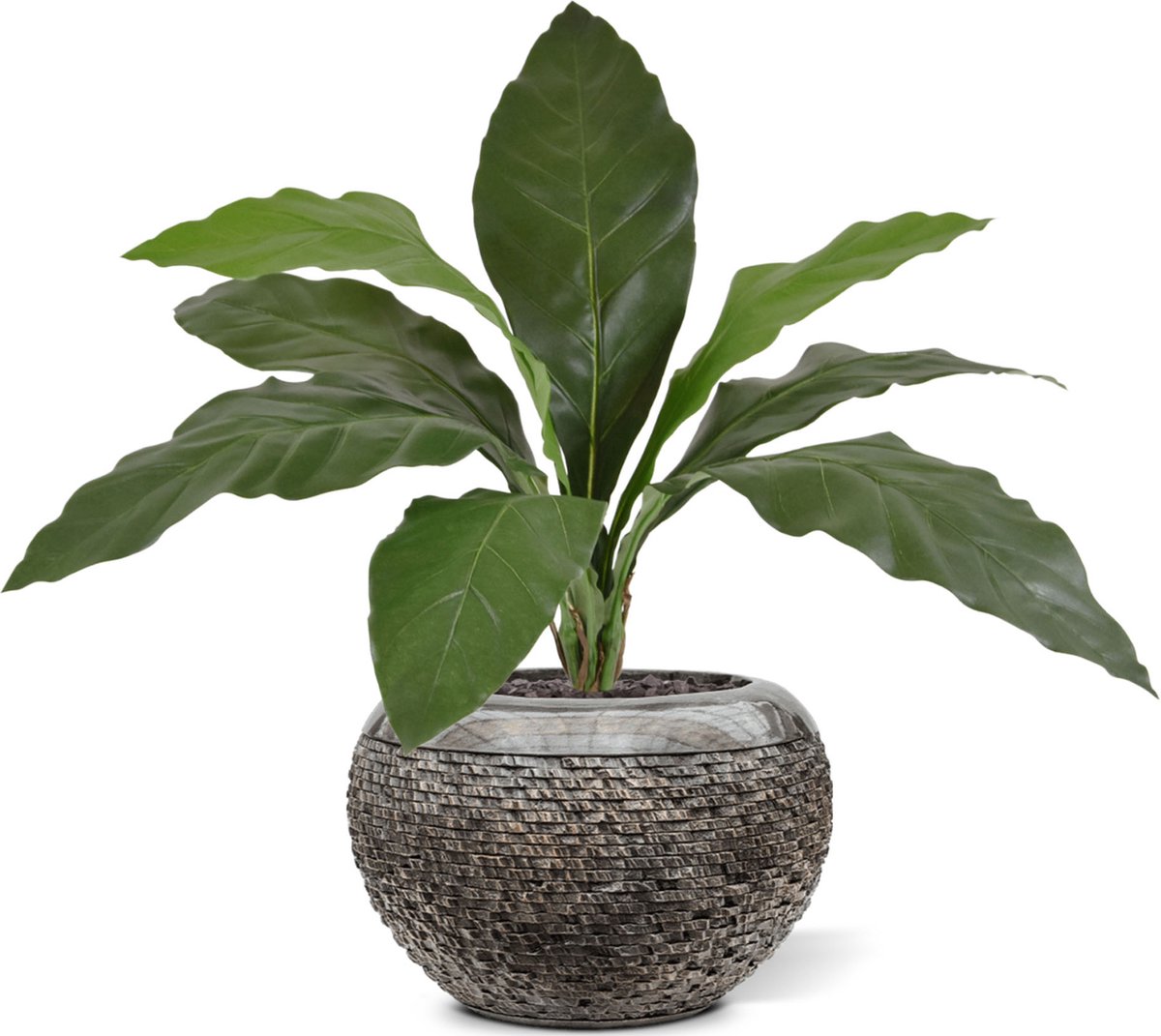 maxifleur Kunstplanten Anthurium Jungle King kunstplant 60cm Groen