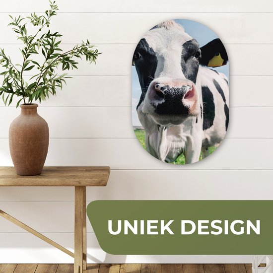 Ovale Mural - Ovale Mural - Décoration murale Plastique - Peinture Ovale - Vache - Pâturage - Nature - Animaux - Herbe - 40x60 cm - Forme Miroir Ovale sur Plastique
