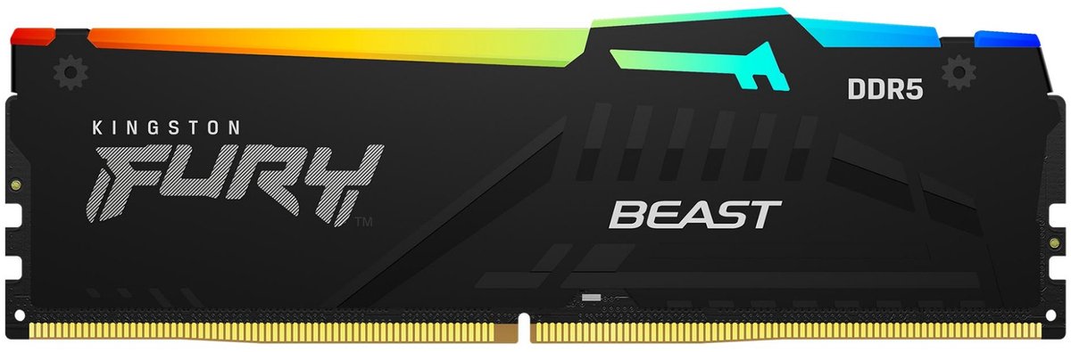 Kingston Technology FURY Beast RGB, 16 GB, 1 x 16 GB, DDR5, 5600 MHz, 288-pin DIMM