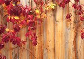 Fotobehang - Vlies Behang - Herfstbladeren op Houten Planken - 208 x 146 cm