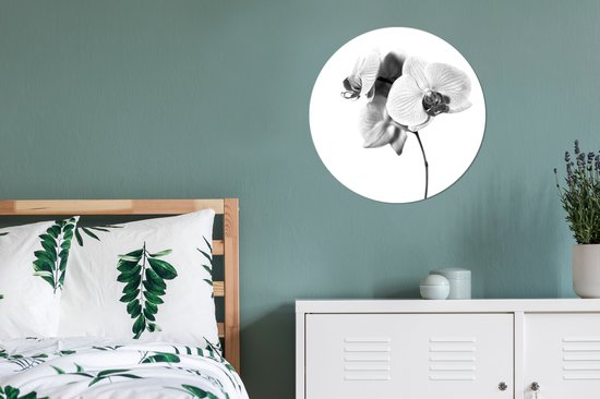 WallCircle - Wandcirkel ⌀ 60 - Orchideebloem tegen een witte achterrond - zwart wit - Ronde schilderijen woonkamer - Wandbord rond - Muurdecoratie cirkel - Kamer decoratie binnen - Wanddecoratie muurcirkel - Woonaccessoires