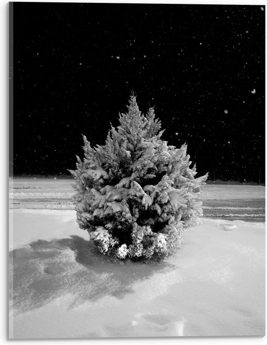 WallClassics - Acrylglas - Wit Besneeuwde Kerstboom in het Donker - 30x40 cm Foto op Acrylglas (Wanddecoratie op Acrylaat)
