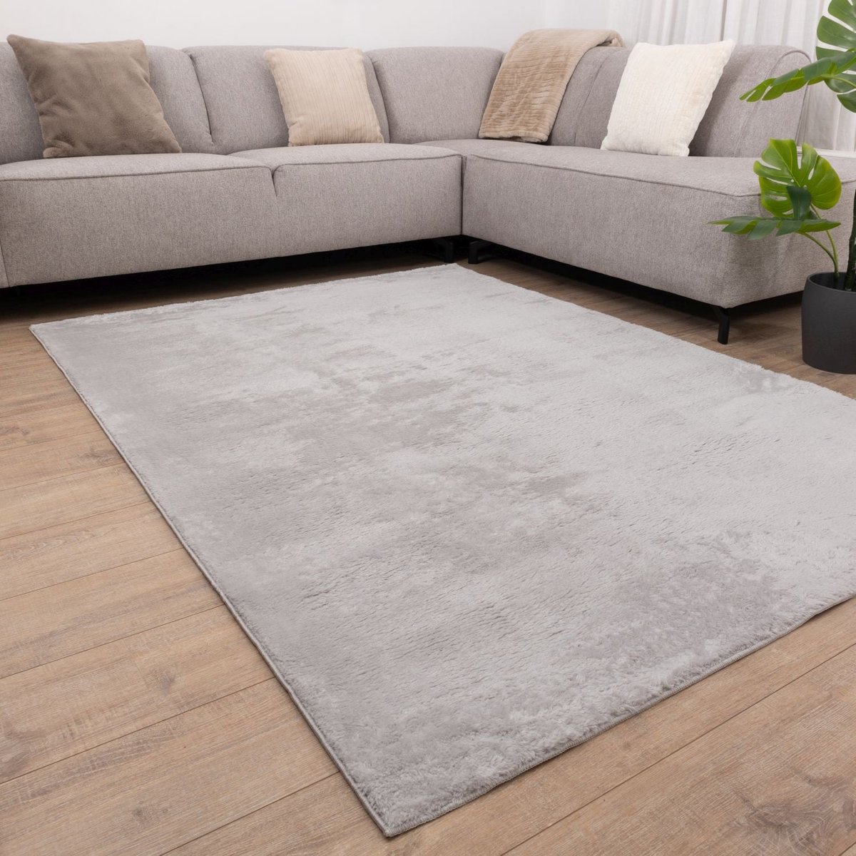 Lichtgrijs Tapijt Wasbaar Laagpolig Vloerkleed met Anti Slip Koho Soft Comfort Wasbaar op 30° - 60x110cm- Modern - Woonkamer - Salon - Slaapkamer - Eetkamer
