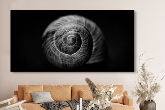 Toile - Animaux - Escargot - Zwart - Wit - Toile - 160x80 cm - Peintures sur toile - Décoration murale