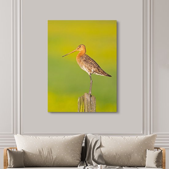 Toile - Tableau - Vogel - Animaux - Barge à queue noire - Perche - Vert - Peintures sur toile - Photo sur toile - 120x160 cm - Décoration murale - Salon