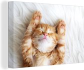 Canvas - Schilderij - Kat - Deken - Poes - Kitten - Katten op canvas - Dieren - Dier - Kamer decoratie - 30x20 cm