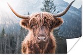 Poster - Schotse hooglander - Koe - Dieren - Natuur - Industrieel - Fotoposter - Muurposter - Woonkamer decoratie - Muurposters slaapkamer - Dierenposter - 120x80 cm - Muurdecoratie