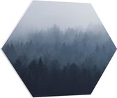 WallClassics - PVC Schuimplaat Hexagon  - Bos in de Mist - 70x60.9 cm Foto op Hexagon (Met Ophangsysteem)