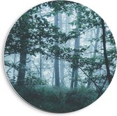 WallClassics - Cercle mural en panneau de mousse PVC - Brouillard léger dans une forêt verte - Photo 40x40 cm sur cercle mural (avec système de suspension)