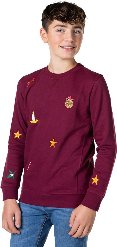 collegegeld Pretentieloos Voorstellen OppoSuits Deluxe X-Mas Icons - Navy - Tiener Sweater - Kerst Trui - Blauw -  Maat 16 Jaar | bol.com