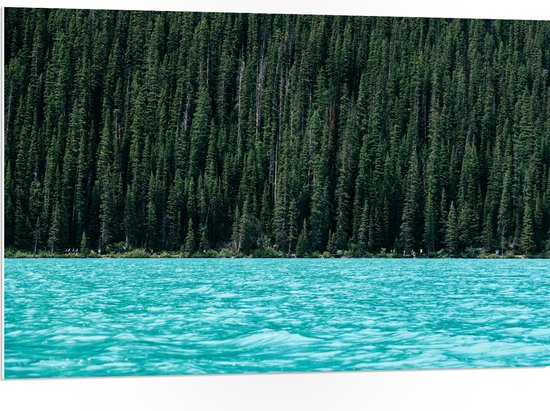 WallClassics - Panneau en mousse PVC – Lac Blauw sur lisière de forêt verte – 105 x 70 cm Photo sur panneau en mousse PVC (avec système de suspension)