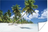 Tropisch strand op de Dominicaanse Republiek Poster 60x40 cm - Foto print op Poster (wanddecoratie woonkamer / slaapkamer) / Landschappen Poster / Zee en Strand
