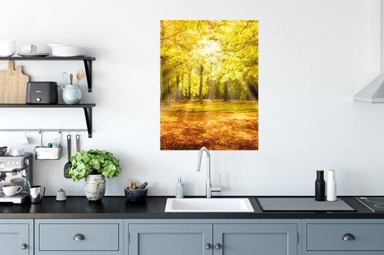 Affiche Arbre - Nature - Soleil - Paysage - Forêt - 60x80 cm