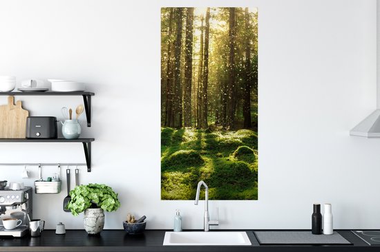 Affiche Arbres - Forêt - Mousse - Plantes - Soleil - Nature - 60x120 cm