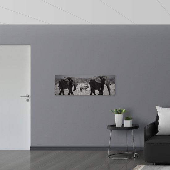 WallClassics - Plaque de Mousse PVC - Éléphants dans la Nature - Zwart Wit - Photo 120x40 cm sur Plaque de Mousse PVC (Avec Système d'accrochage)